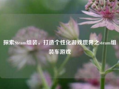 探索Steam组装，打造个性化游戏世界之steam组装车游戏