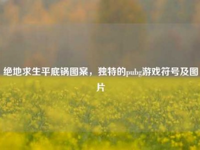绝地求生平底锅图案，独特的pubg游戏符号及图片