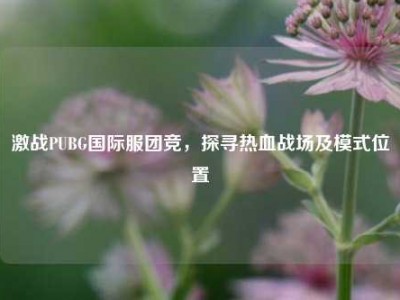 激战PUBG国际服团竞，探寻热血战场及模式位置