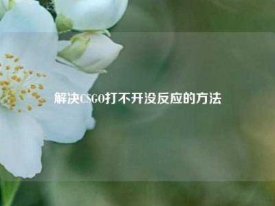 解决CSGO打不开没反应的方法