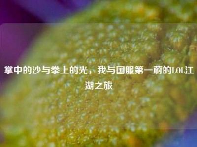 掌中的沙与拳上的光，我与国服第一蔚的LOL江湖之旅