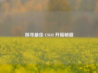 探寻最佳 CSGO 开箱秘籍