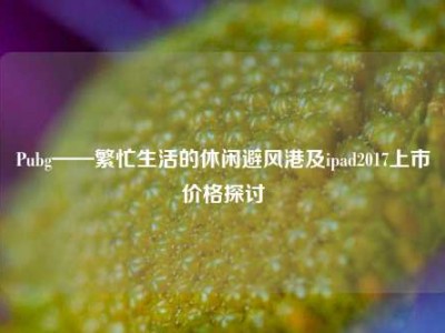 Pubg——繁忙生活的休闲避风港及ipad2017上市价格探讨