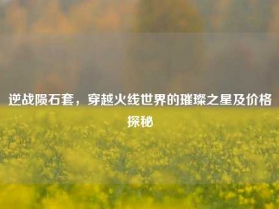 逆战陨石套，穿越火线世界的璀璨之星及价格探秘
