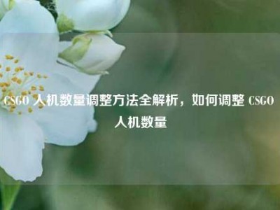 CSGO 人机数量调整方法全解析，如何调整 CSGO 人机数量