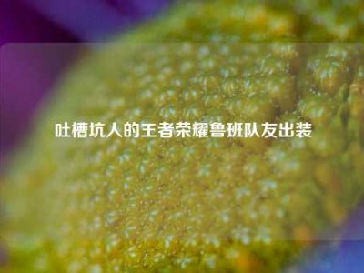 吐槽坑人的王者荣耀鲁班队友出装