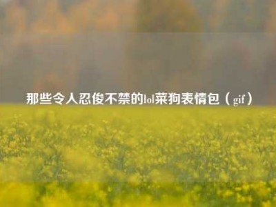 那些令人忍俊不禁的lol菜狗表情包（gif）