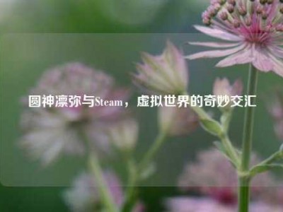 圆神凛弥与Steam，虚拟世界的奇妙交汇