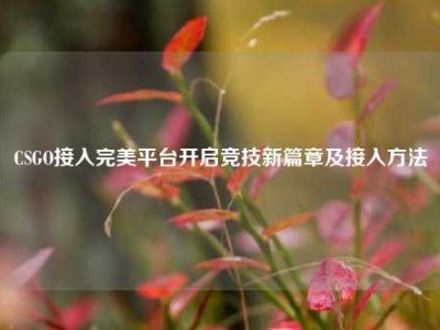 CSGO接入完美平台开启竞技新篇章及接入方法