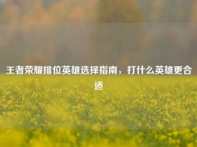 王者荣耀排位英雄选择指南，打什么英雄更合适