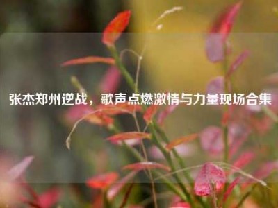 张杰郑州逆战，歌声点燃激情与力量现场合集