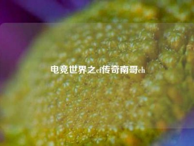 电竞世界之cf传奇南哥ch