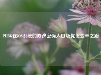 PUBG在iOS系统的修改密码入口及优化变革之路
