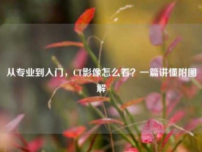 从专业到入门，CT影像怎么看？一篇讲懂附图解
