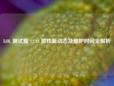 LOL 测试服 12.13 游戏新动态及维护时间全解析