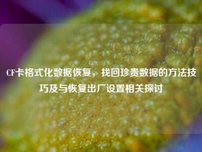 CF卡格式化数据恢复，找回珍贵数据的方法技巧及与恢复出厂设置相关探讨