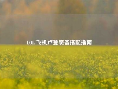 LOL 飞机卢登装备搭配指南