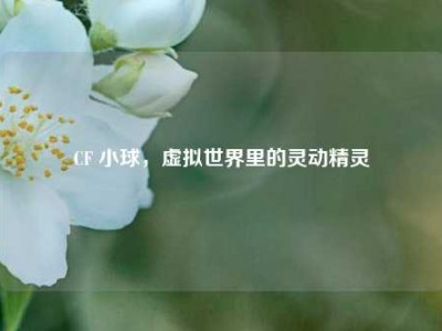 CF 小球，虚拟世界里的灵动精灵