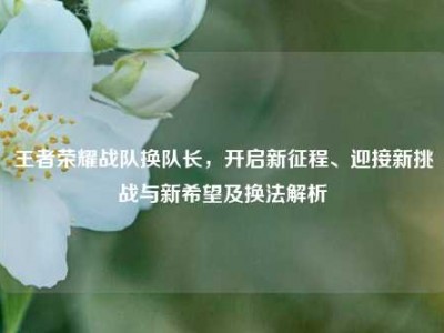 王者荣耀战队换队长，开启新征程、迎接新挑战与新希望及换法解析