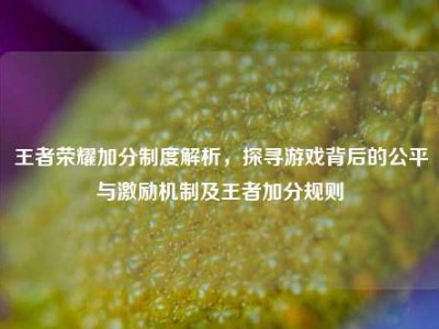 王者荣耀加分制度解析，探寻游戏背后的公平与激励机制及王者加分规则