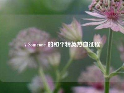 7 Someone 的和平精英热血征程