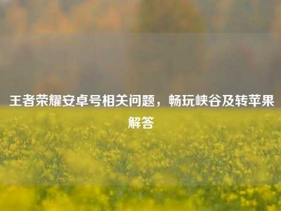 王者荣耀安卓号相关问题，畅玩峡谷及转苹果解答