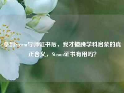 拿到Steam导师证书后，我才懂跨学科启蒙的真正含义，Steam证书有用吗？