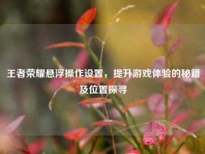 王者荣耀悬浮操作设置，提升游戏体验的秘籍及位置探寻
