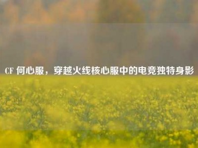 CF 何心服，穿越火线核心服中的电竞独特身影