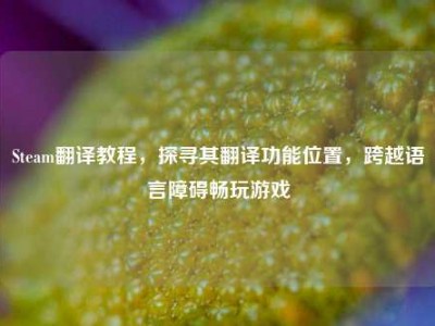 Steam翻译教程，探寻其翻译功能位置，跨越语言障碍畅玩游戏