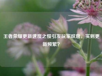 王者荣耀更新速度之慢引发玩家叹息，实则更新频繁？