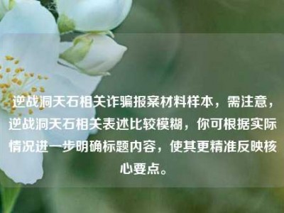逆战洞天石相关诈骗报案材料样本，需注意，逆战洞天石相关表述比较模糊，你可根据实际情况进一步明确标题内容，使其更精准反映核心要点。