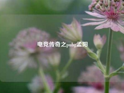 电竞传奇之pubg孟阳