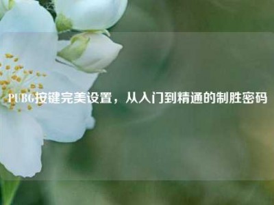 PUBG按键完美设置，从入门到精通的制胜密码
