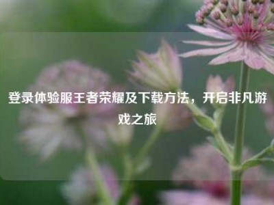 登录体验服王者荣耀及下载方法，开启非凡游戏之旅
