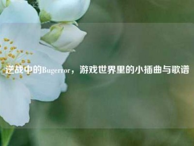 逆战中的Bugerror，游戏世界里的小插曲与歌谱