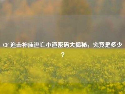 CF 追击神庙逃亡小道密码大揭秘，究竟是多少？