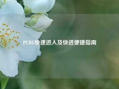 PUBG快速进入及快进便捷指南