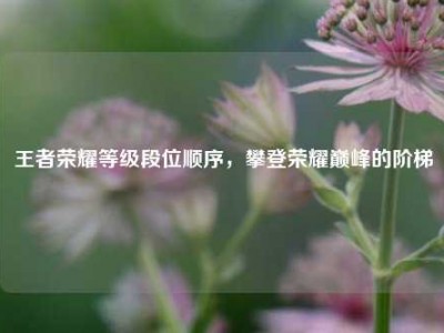 王者荣耀等级段位顺序，攀登荣耀巅峰的阶梯