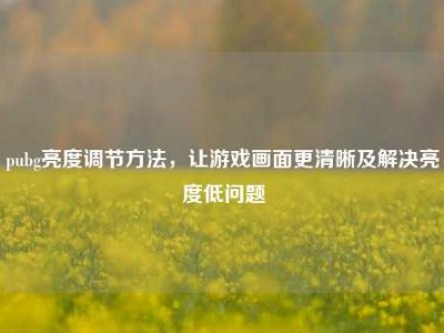 pubg亮度调节方法，让游戏画面更清晰及解决亮度低问题