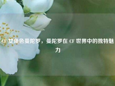 CF 女角色曼陀罗，曼陀罗在 CF 世界中的独特魅力