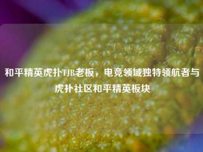 和平精英虎扑TJB老板，电竞领域独特领航者与虎扑社区和平精英板块