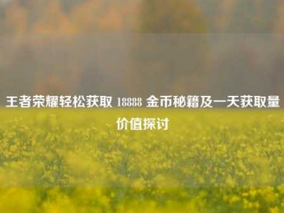 王者荣耀轻松获取 18888 金币秘籍及一天获取量价值探讨