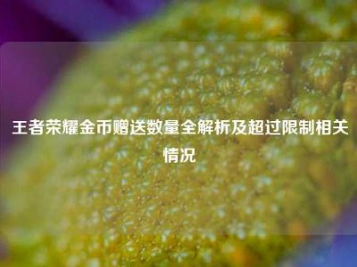 王者荣耀金币赠送数量全解析及超过限制相关情况