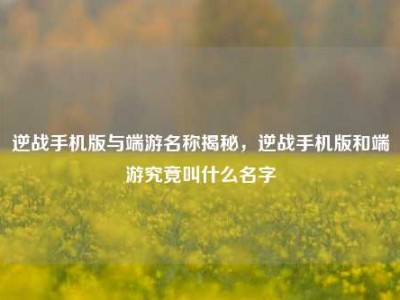 逆战手机版与端游名称揭秘，逆战手机版和端游究竟叫什么名字