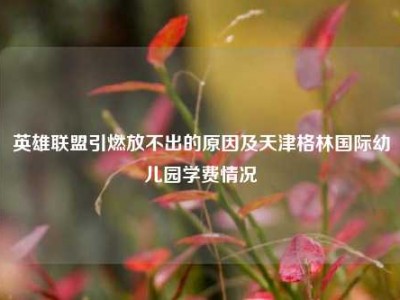 英雄联盟引燃放不出的原因及天津格林国际幼儿园学费情况