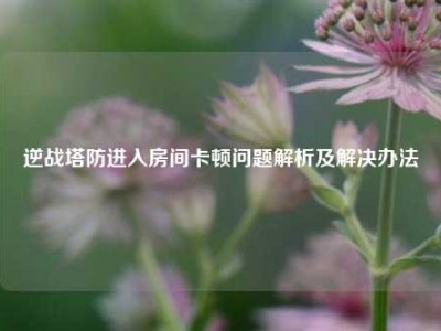 逆战塔防进入房间卡顿问题解析及解决办法