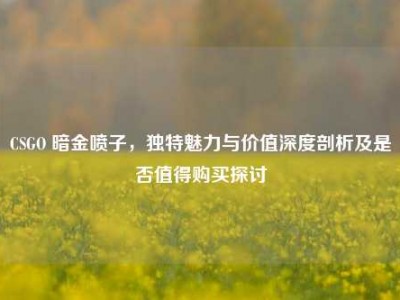 CSGO 暗金喷子，独特魅力与价值深度剖析及是否值得购买探讨