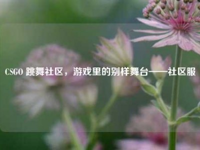 CSGO 跳舞社区，游戏里的别样舞台——社区服