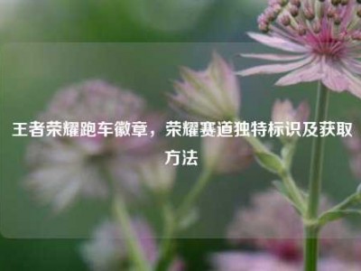 王者荣耀跑车徽章，荣耀赛道独特标识及获取方法